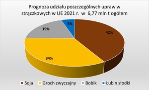 Prognoza struktury upraw strączkowych w UE w 2021 r.