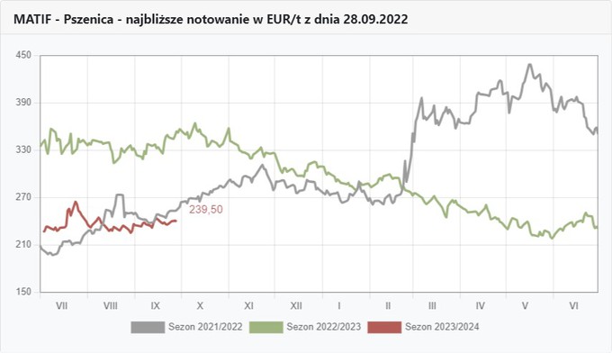 Wykres pszenicy na Matifie