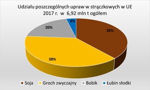 Struktura upraw strączkowych w UE w 2017 r.