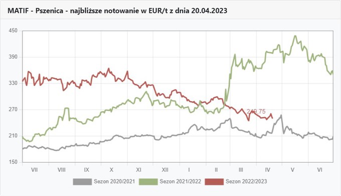 Wykres kursów pszenicy na Matifie