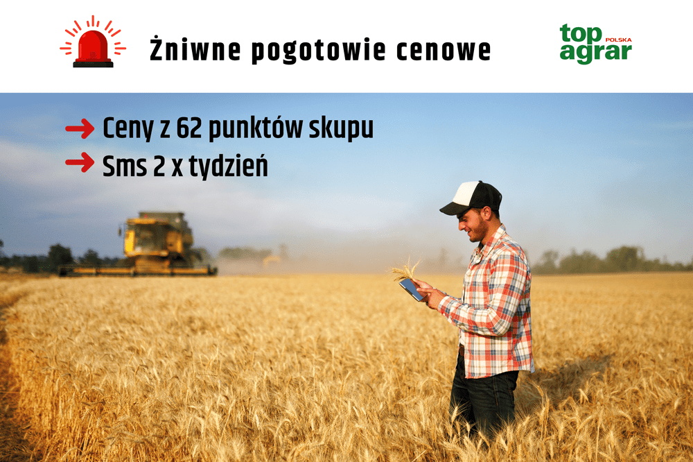 zniwne pogotowie cenowe ceny zboża ceny rzepaku zniwa 2023