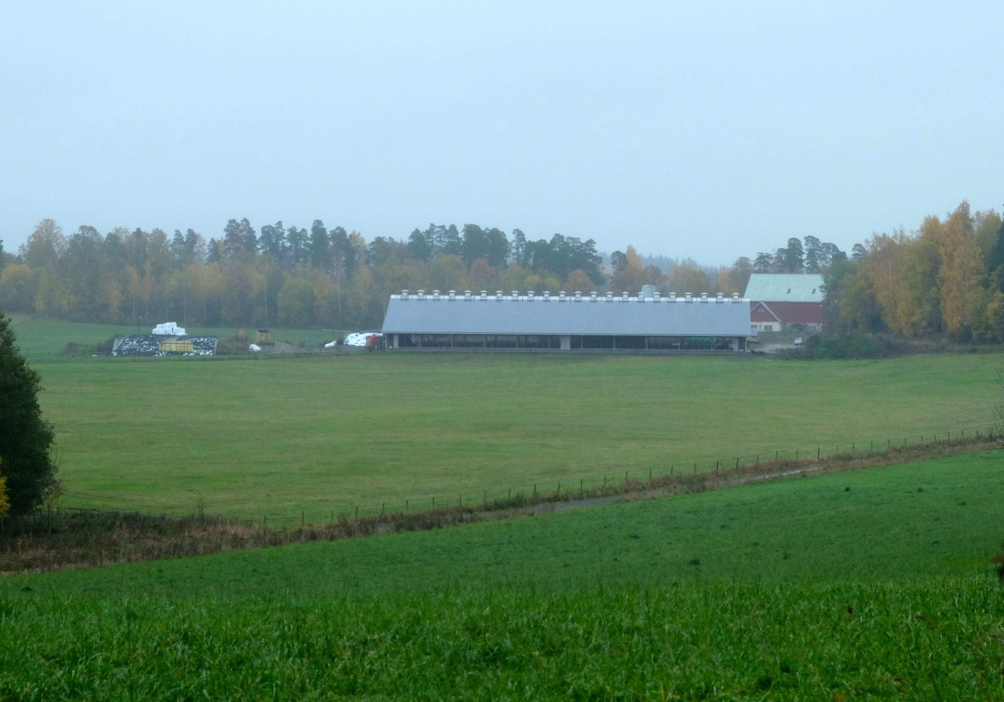 2.	Farma mleczna „Lindo Gard” ma 140 ha użytków zielonych