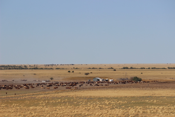 Alexandria Station, Australia