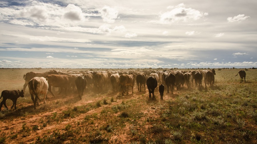 Anna Creek Station, Australia 