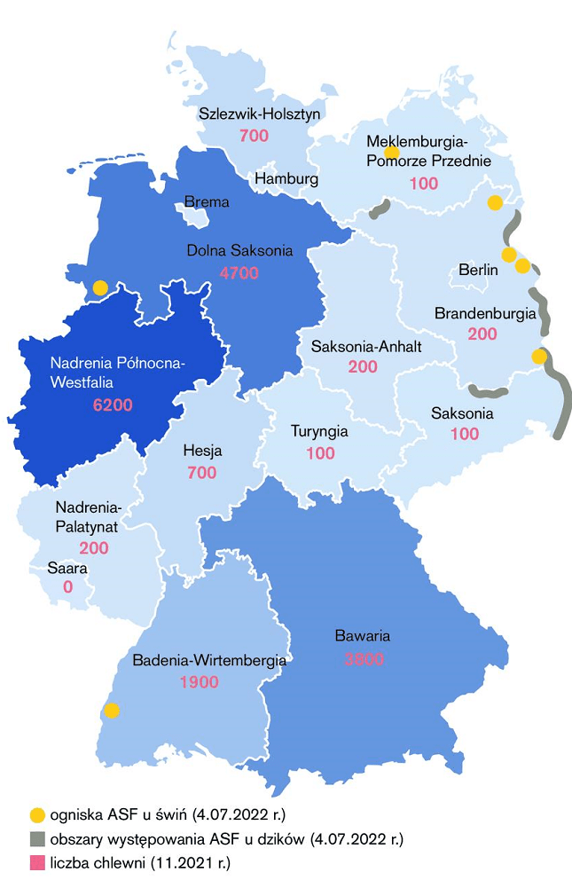 ASF w Niemczech, mapa, ogniska i obszary występowania