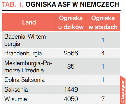 Ogniska ASF w Niemczech z podziałem na landy