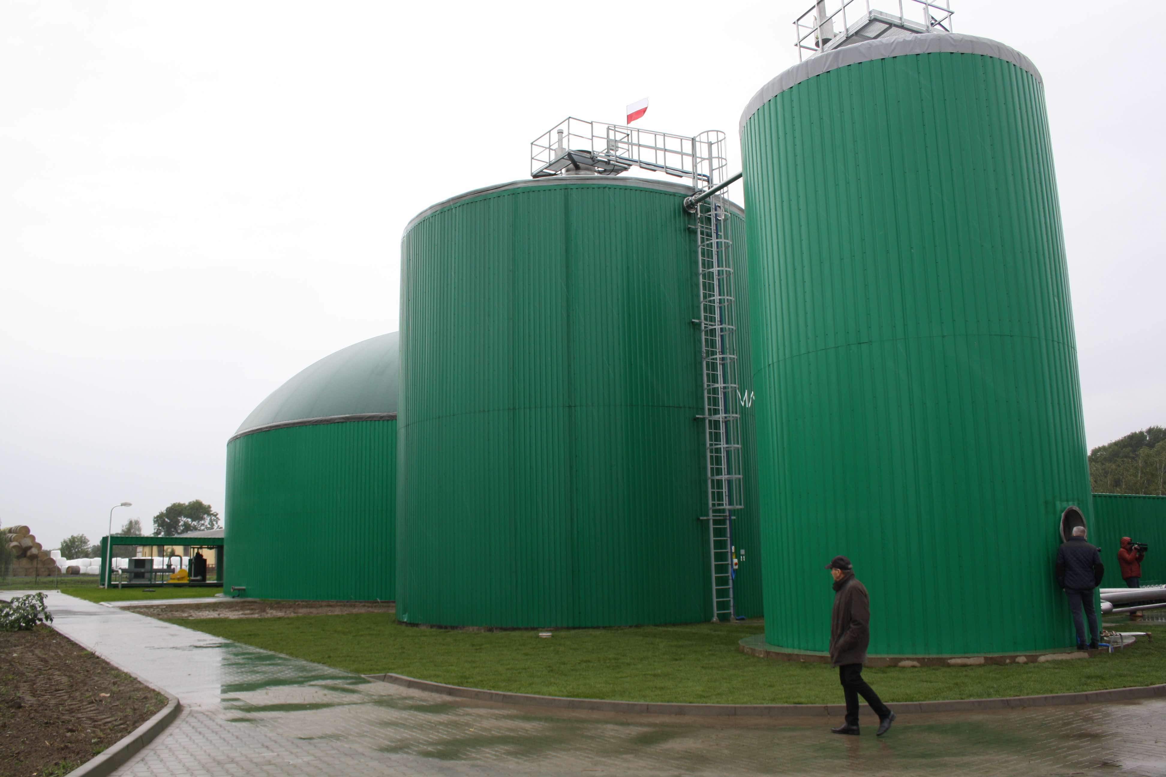 Biogazownia w gospodarstwie w Przybrodzie ma moc 0,5 MW i kosztowała około 7 mln zł