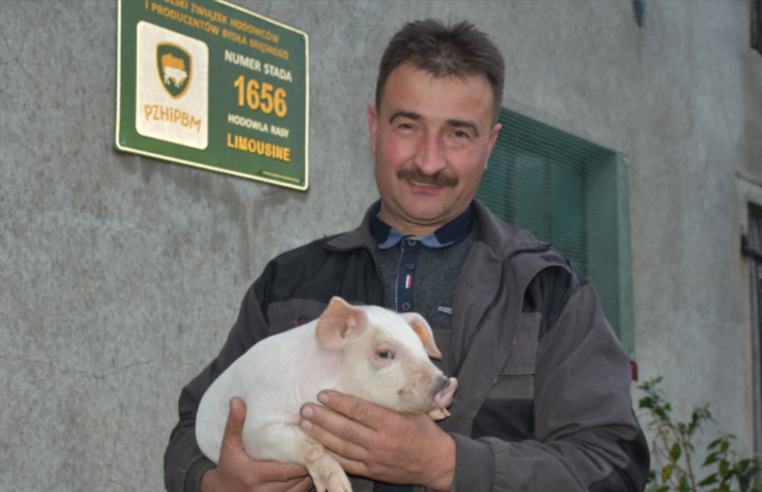Zbigniew Augustyn jeszcze do niedawna część prosiąt sprzedawał, a resztę tuczył w gospodarstwie