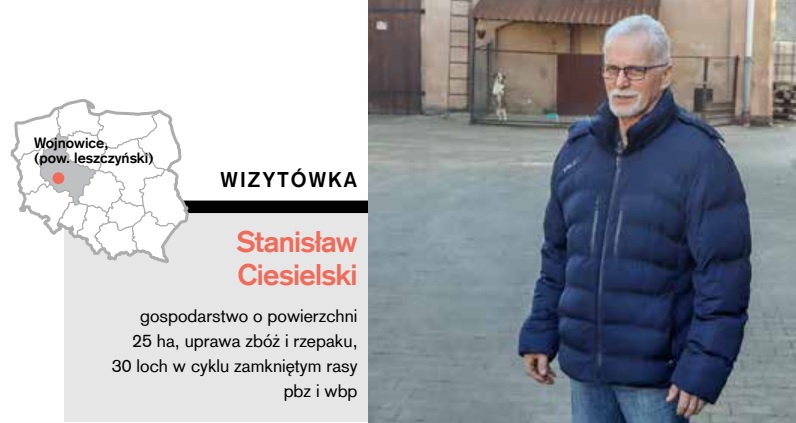 ciesielski wizytówka