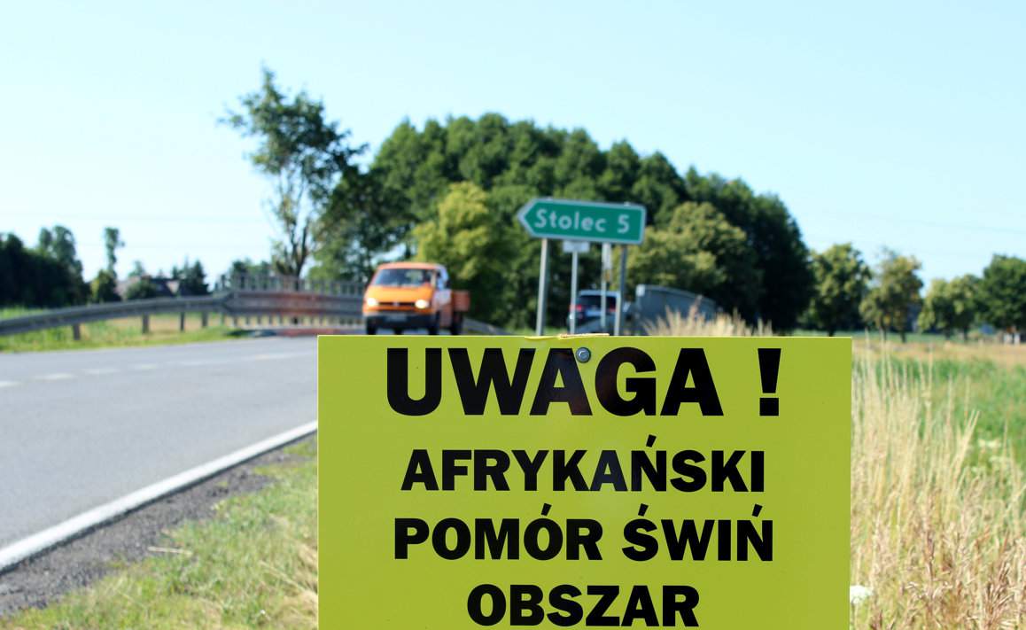 W regionach występowania ASF należy zachować szczególną ostrożność przy przywożeniu do gospodarstwa zbiorów z pól, gdyż, jak pokazuje każdy rok, wówczas jest najwięcej ognisk w chlewniach