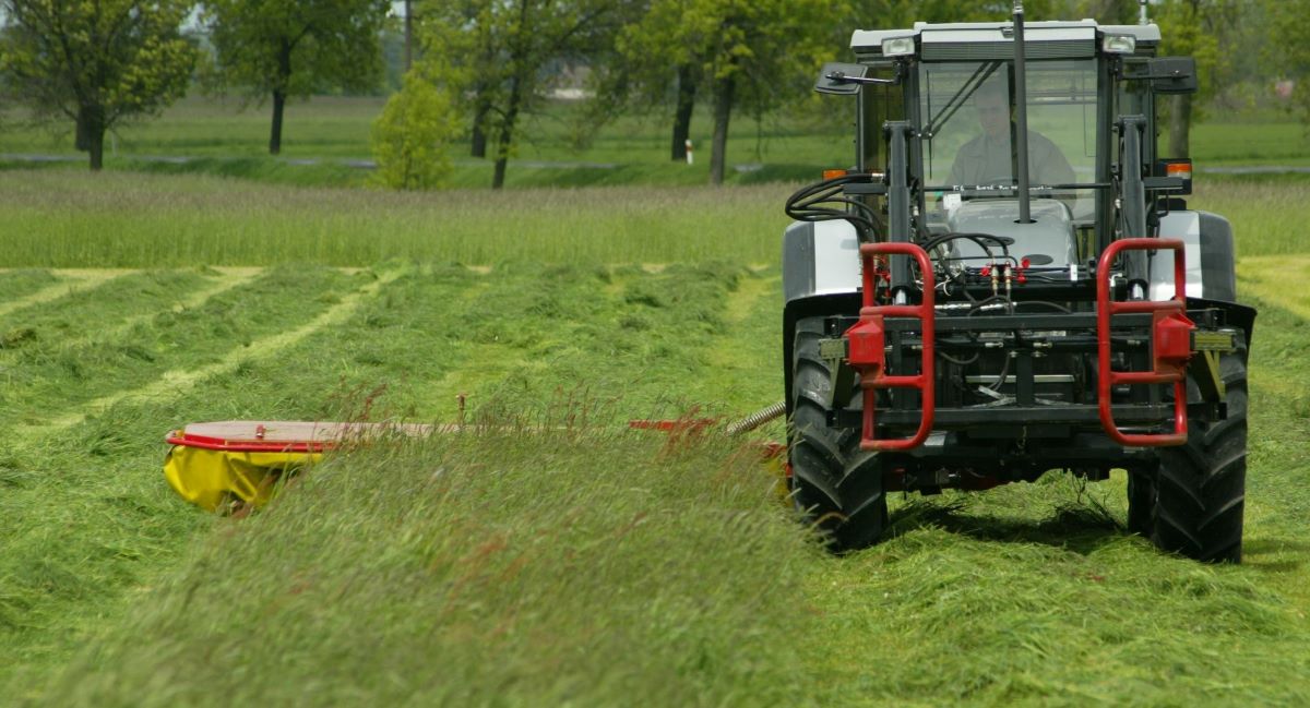 Przed chemią zawsze pierwszeństwo ma agrotechnika. Konkurencję chwastów efektywnie osłabia częste koszenie użytków zielonych i ich zbilansowane nawożenie