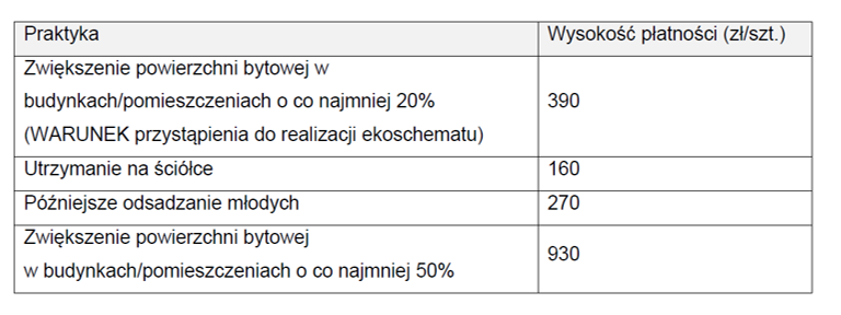 DOBROSTAN LOCH PŁATNOŚĆ STAWKI