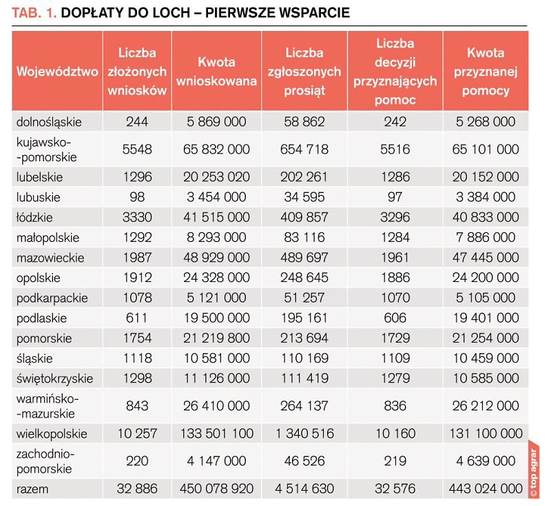 dopłaty do loch - pierwsze wsparcie