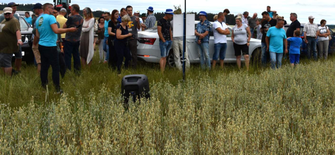 Uczestnicy Ekologicznego Dnia Pola w gospodarstwie Czesława Langa, wizytujący plantacje owsa