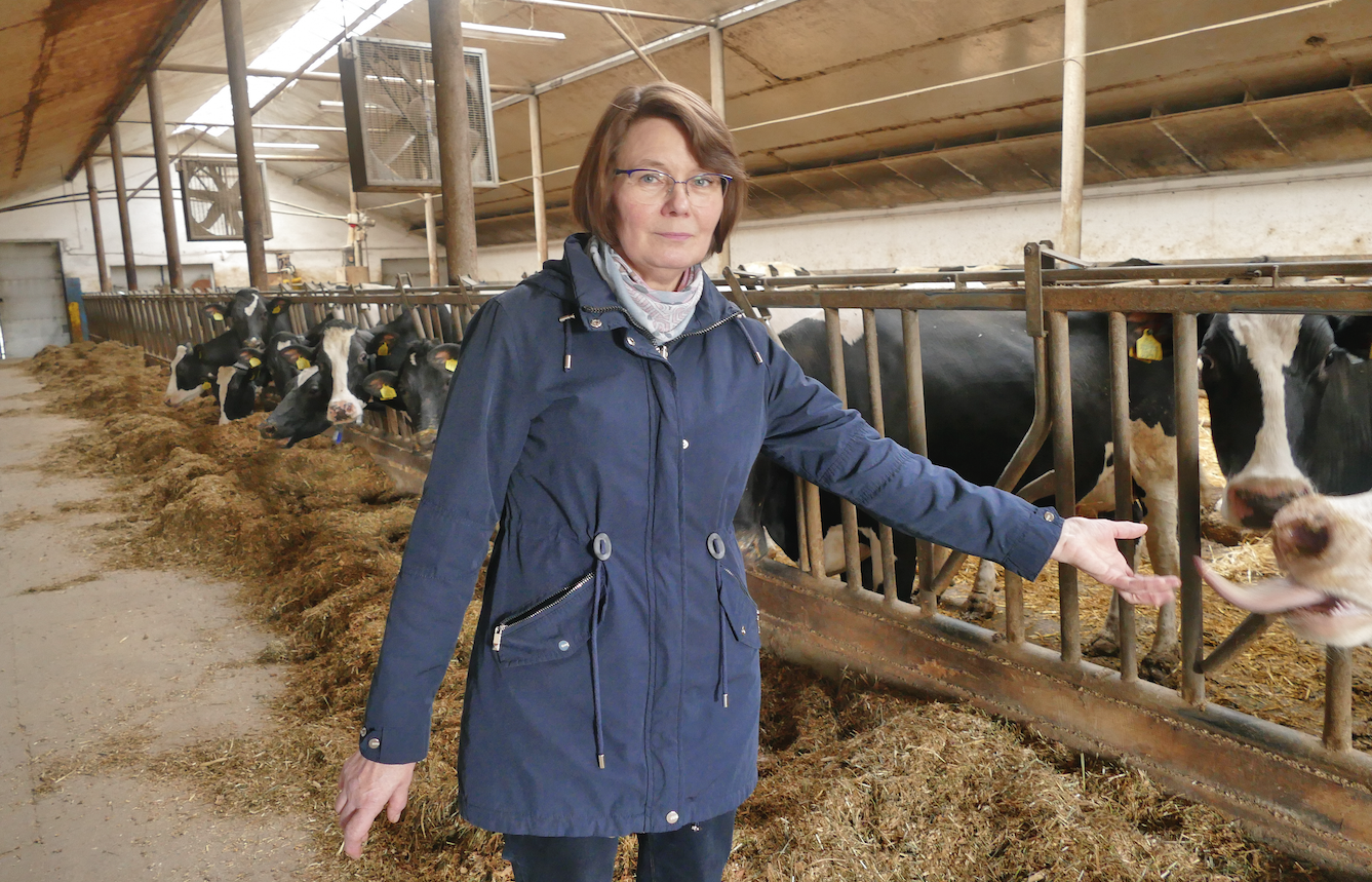 Elżbieta Kieliszek, dziś już z następcami: córką Katarzyną i Grzegorzem Głodkami, prowadzi swoje hodowlane gospodarstwo w miejscowości Kurzelaty, w gminie Kłoczew. Rolnicy uprawiają 50 ha ziemi własnej i ok. 15 ha dzierżawionej. Pod zasiew kukurydzy planowane jest w tym sezonie 25 ha, użytki zielone zajmują ok. 30 ha, a na pozostałym areale uprawiane są zboża. Hodowcy są dostawcami Spółdzielni Mleczarskiej Ryki, do której w ubiegłym roku sprzedali ok. 600 tysięcy litrów mleka.