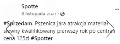 ogłoszenia internetowe materiał siewny