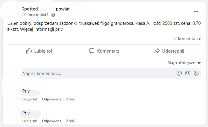 ogłoszenia internetowe materiał siewny