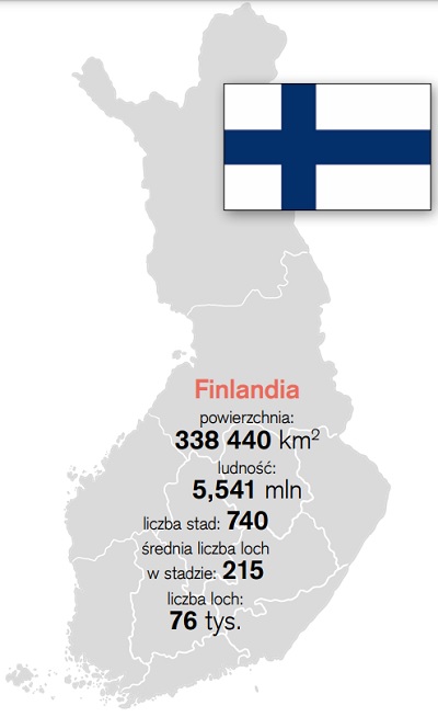 finlandia produkcja