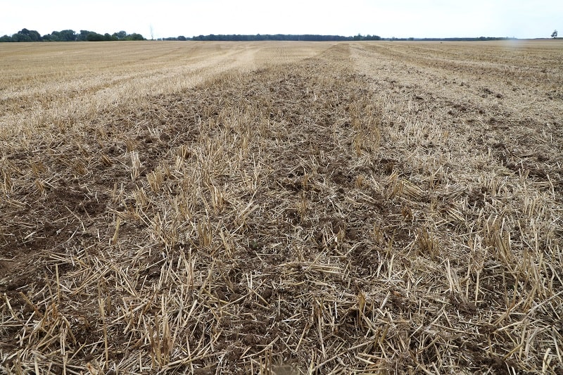 Każda z maszyn, która dojechała na nasz test, inaczej oddziałuje na glebę i pozostawia po sobie inny widok pola, a to za sprawą różnic w zastosowanych elementach roboczych.