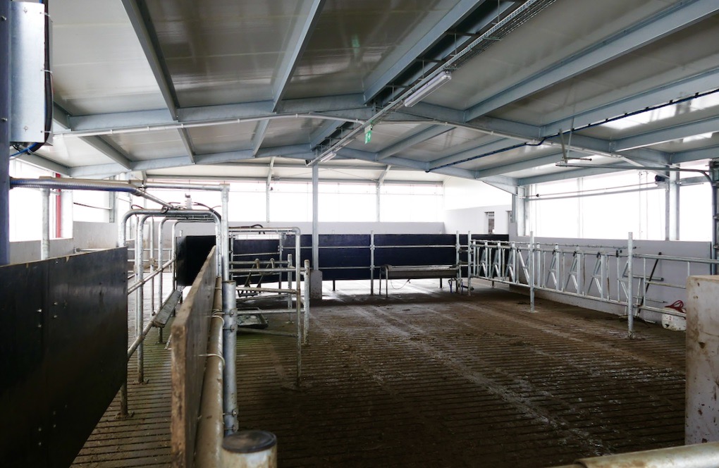 Przy poczekalni zainstalowan jest dwukierunkowa brama separacyjna, umożliwiająca separację krów które wychodzą z hali udojowej pod kątem zabiegów weterynaryjnych i zootechnicznych