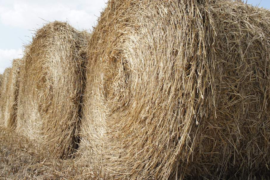 Wywożenie materii organicznej z pola uzasadnia tylko jej przerobienie na obornik