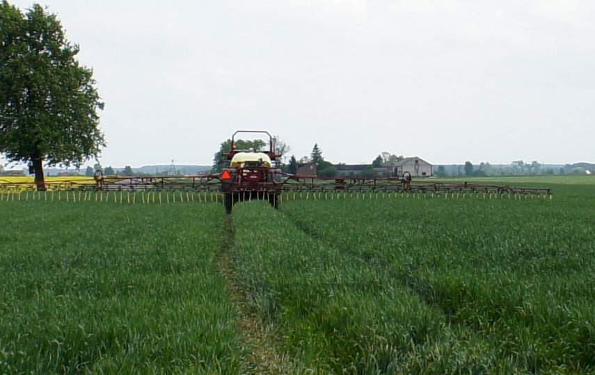 Rośliny pobierają azot przez system korzeniowy z gleby głównie w formie amonowej i azotanowej. Obie formy azotu są równorzędne w żywieniu roślin, ale to, która forma jest aktywniej pobierana zależy od: gatunku roślin, stanu fizjologicznego, warunków glebowych, temperatury, uwilgotnienia oraz pH gleby. W wielu okresach nawożenia roślin, zwłaszcza w warunkach suszy glebowej, sprawdza się aplikacja azotu w formie RSM, który zawiera azot amonowy, saletrzany i amidowy