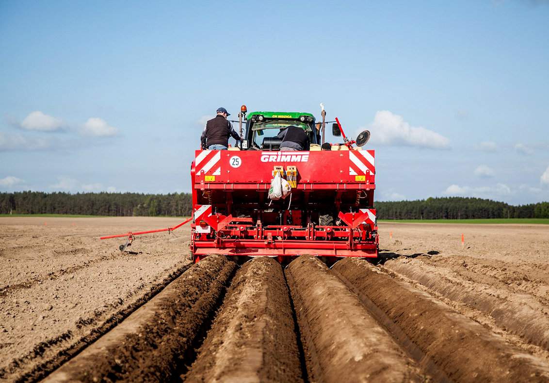 Sadzenie ziemniaków odbywa się w firmie od 20 kwietnia przez cztery zespoły non stop, przez całą dobę 