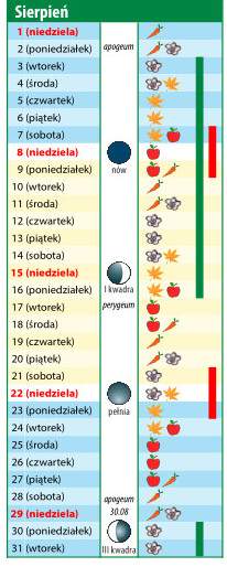 kalendarz biodynamiczny na sierpień 2021