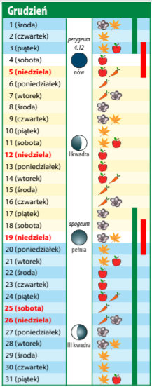 Kalendarz biodynamiczny na grudzień 2021