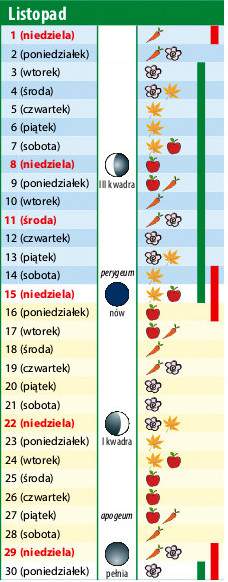 kalendarz biodynamiczny listopad