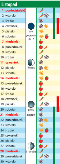 kalendarz biodynamiczny 2021