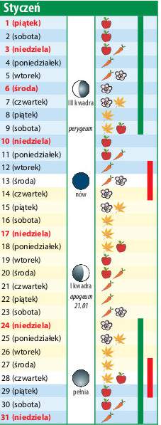 Kalendarz biodynamiczny na styczeń 2021