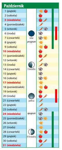 Kalendarz biodnamiczny na październik 2021