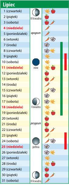 kalendarz biodynamiczny lipiec 2021