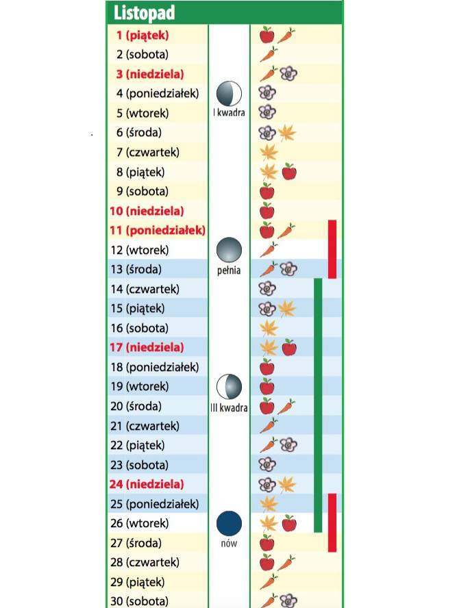 Kalendarz biodynamiczny na listopad 2019