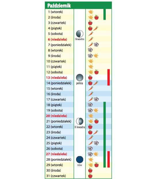 kalendarz biodynamiczny na pazdziernik