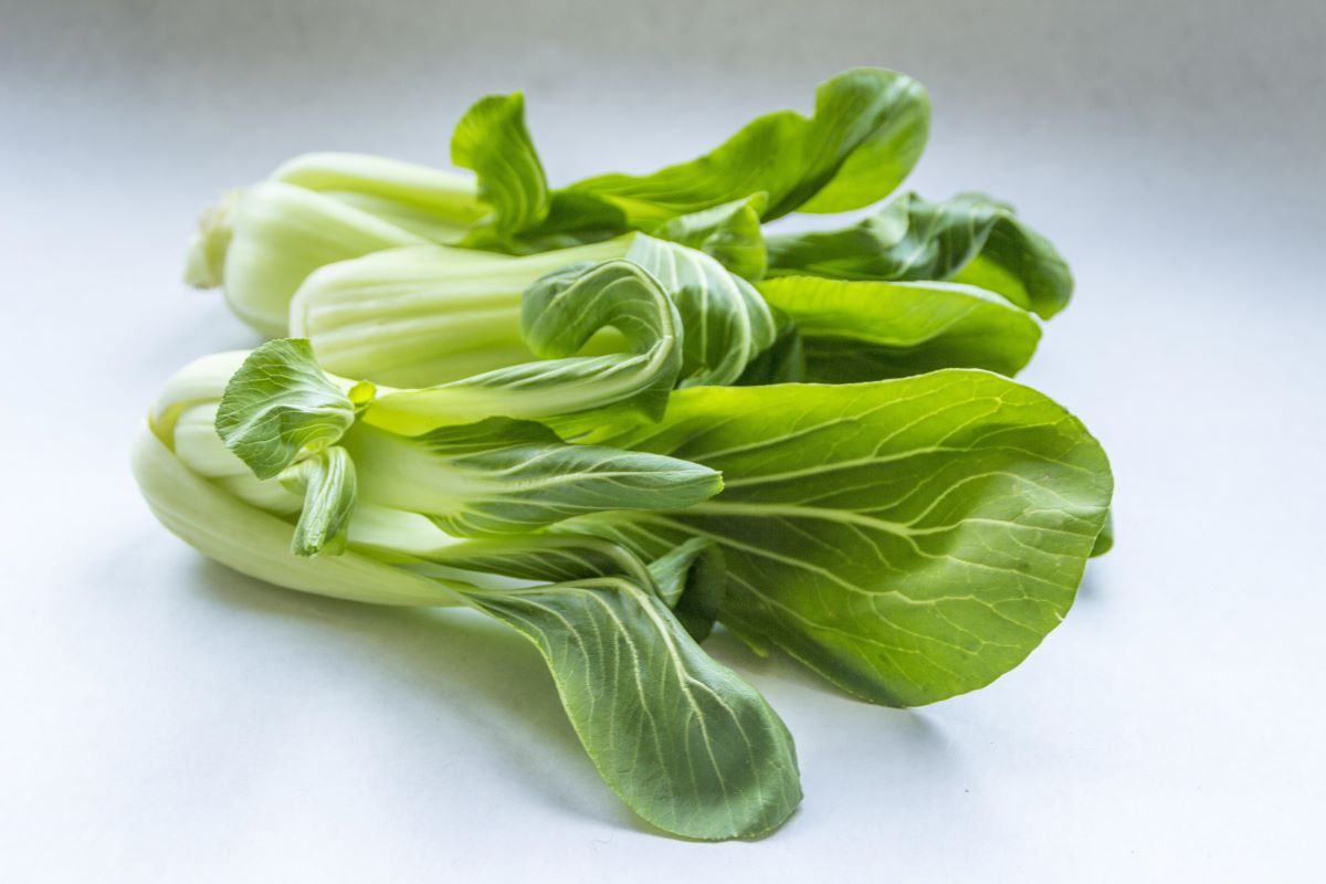 Kapusta pak choi, zwana również kapustą chińską, pochodzi z Azji, gdzie uprawiana jest od 1,5 tys. lat