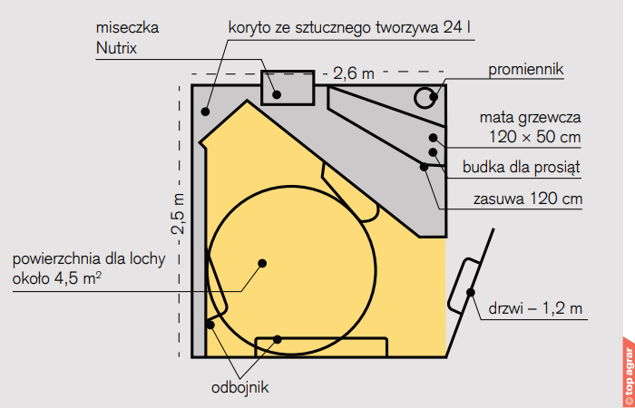 kojce porodowe lochy