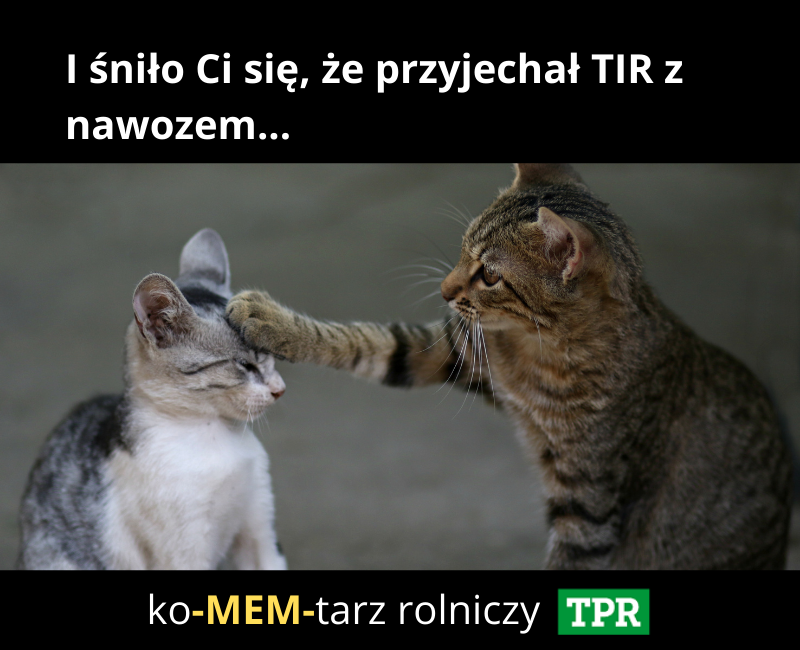 koMEMtarz rolniczy wysokie ceny nawozów 2