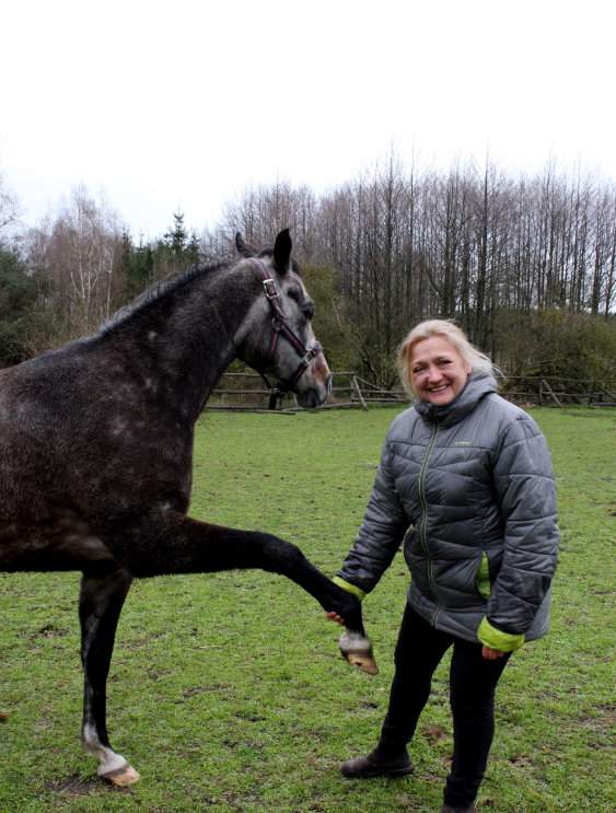 Danuta Jaskółka-Grylewicz hoduje konie czystej krwi arabskiej w typie Kuhailan, które uważa za łagodne i spokojne