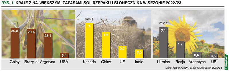 Kraje z największymi zapasami oleistych w sezonie