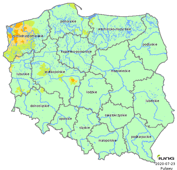 Susza w uprawie kukurydzy na ziarno i kukurydzy na kiszonkę odnotowano w 6 województwach