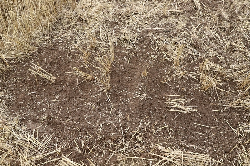 Nierówność w wysokości śladu pozostawionego po przejeździe sięga 3,5 cm.