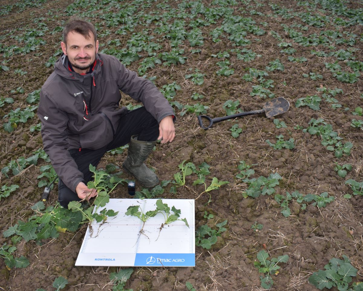 Serwis polowy rzepaku jesienią i wiosną wykonuje Jarosław Gołębiewski, Key Account Manager z Timac Agro Polska, współpracujący od 10 lat z gospodarstwem państwa Waśniewskich