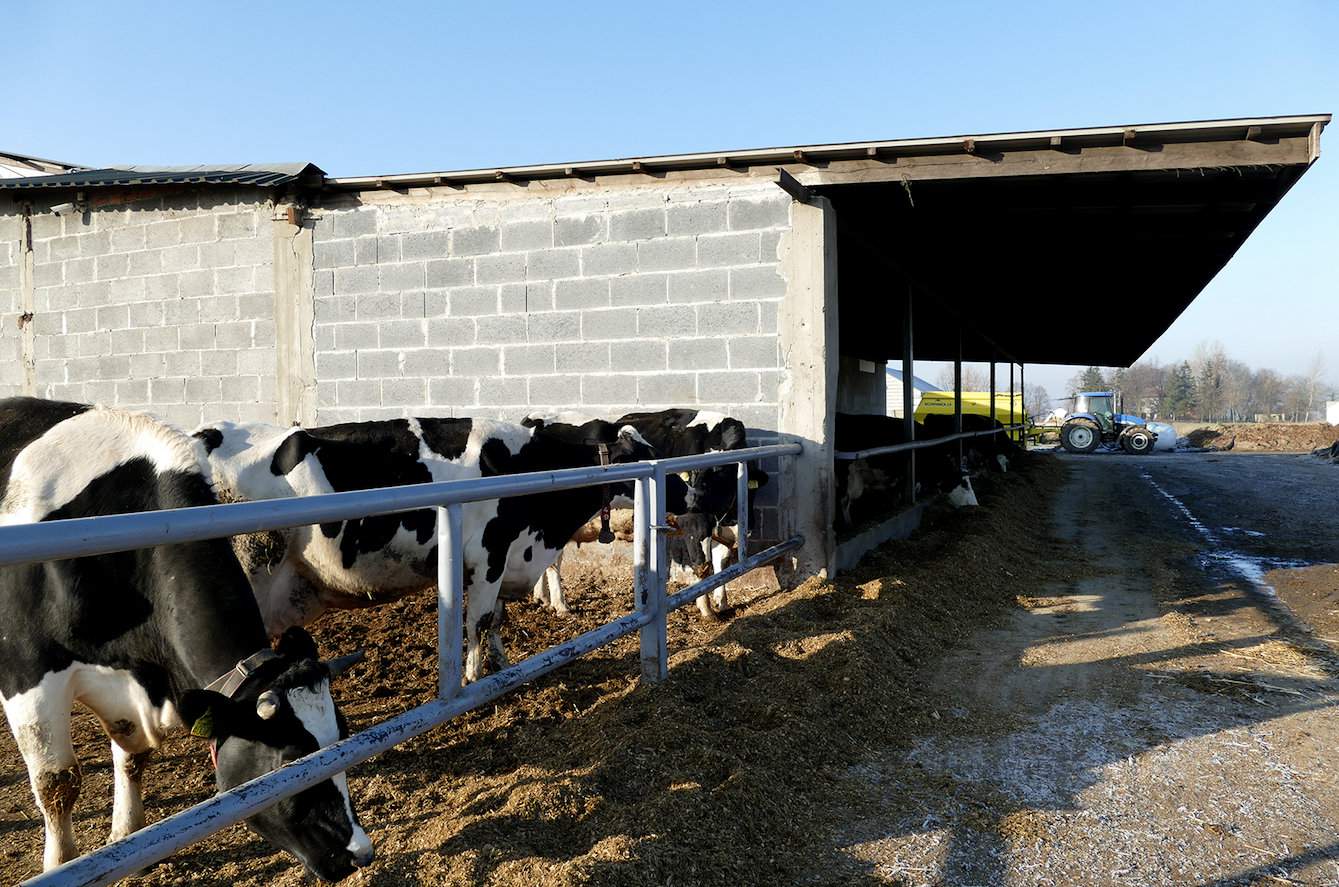 … zlokalizowany jest na zewnątrz obory i bardzo dobrze zadaszony