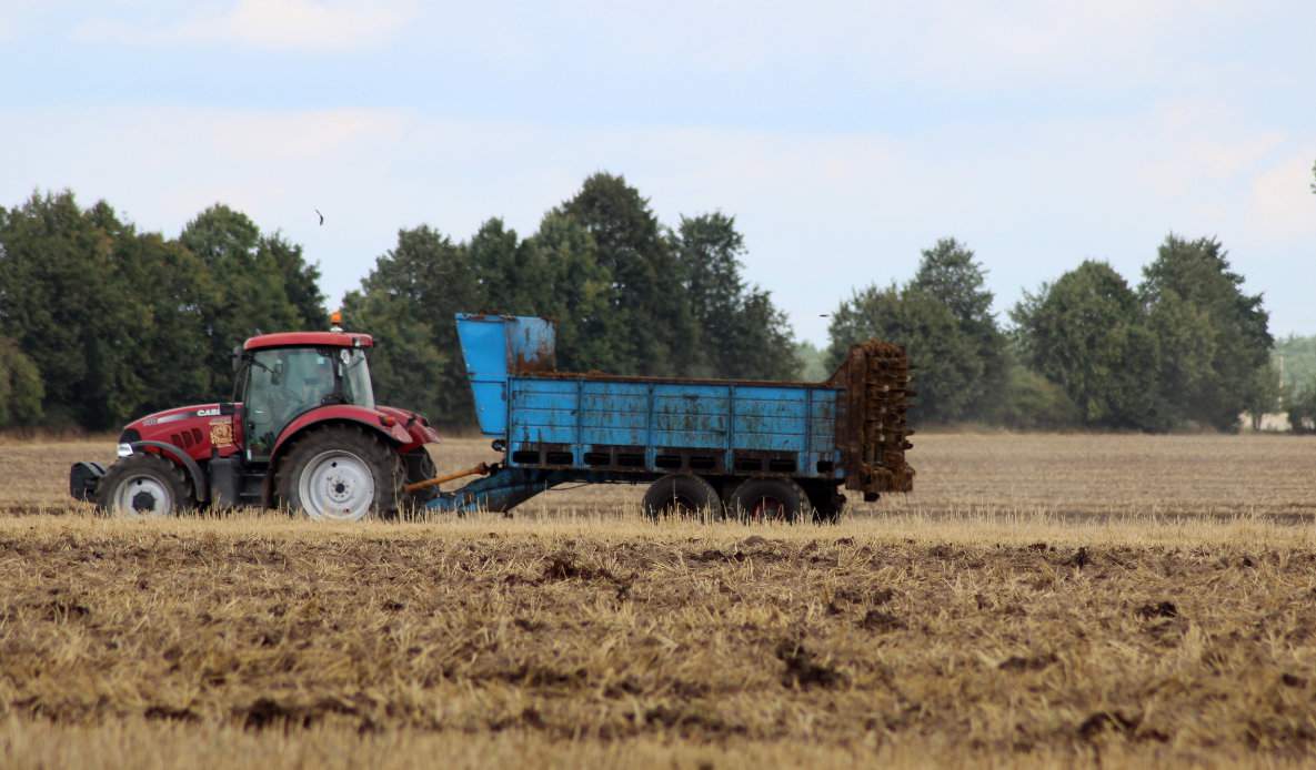  Dobrym źródłem wapnia i magnezu dla roślin są także nawozy naturalne, zwłaszcza obornik