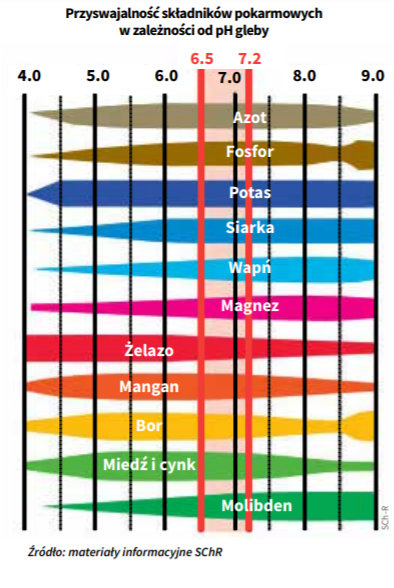 Źródło: materiały informacyjne SChR