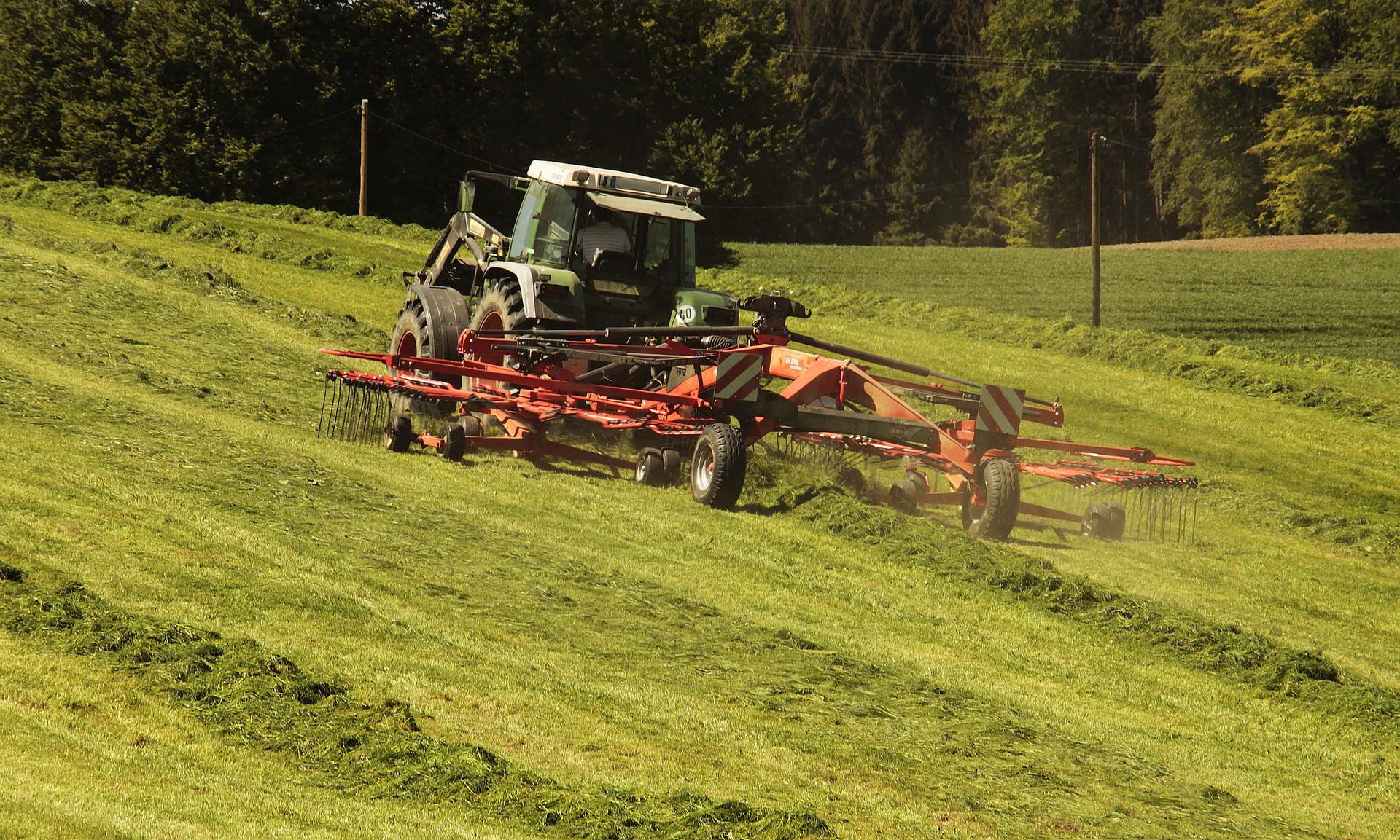 Opieszałość ARiMR niemal doprowadziły rolnika do katastrofy