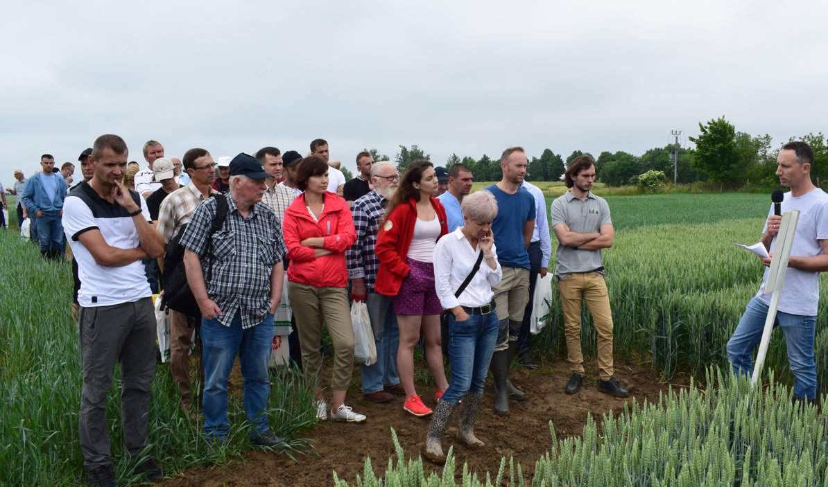 O programach ochrony zastosowanych w zbożach mówił rolnikom Karol Kaczorek, doradca agronomiczny z Innvigo