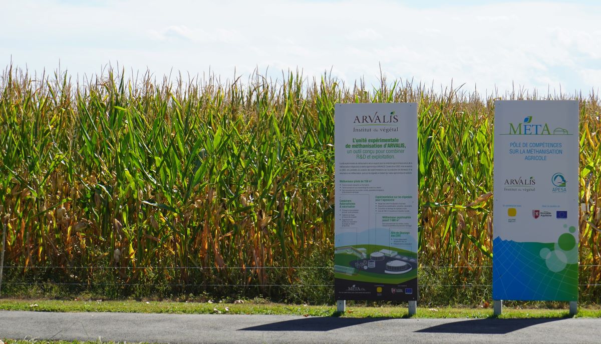 Poletka doświadczalne Instytutu Rolniczego ARVALIS
